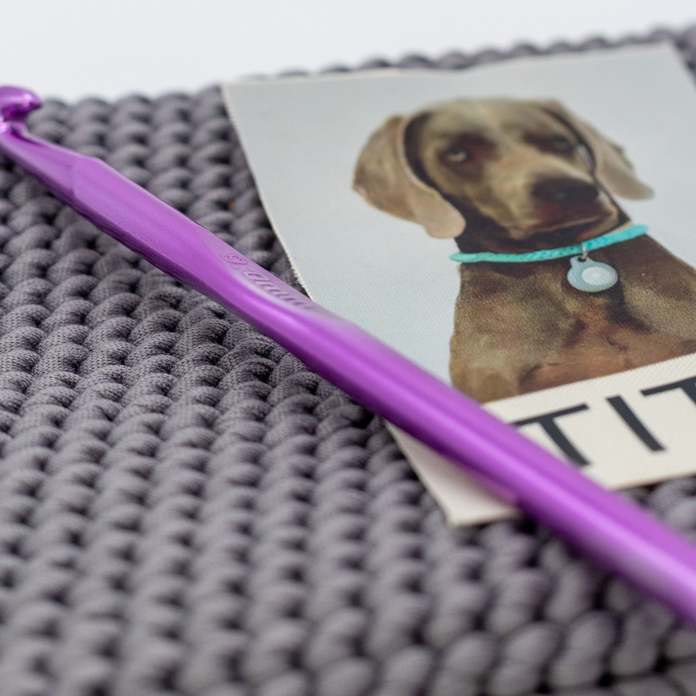 Pochette dog personalizzata con immagine cane