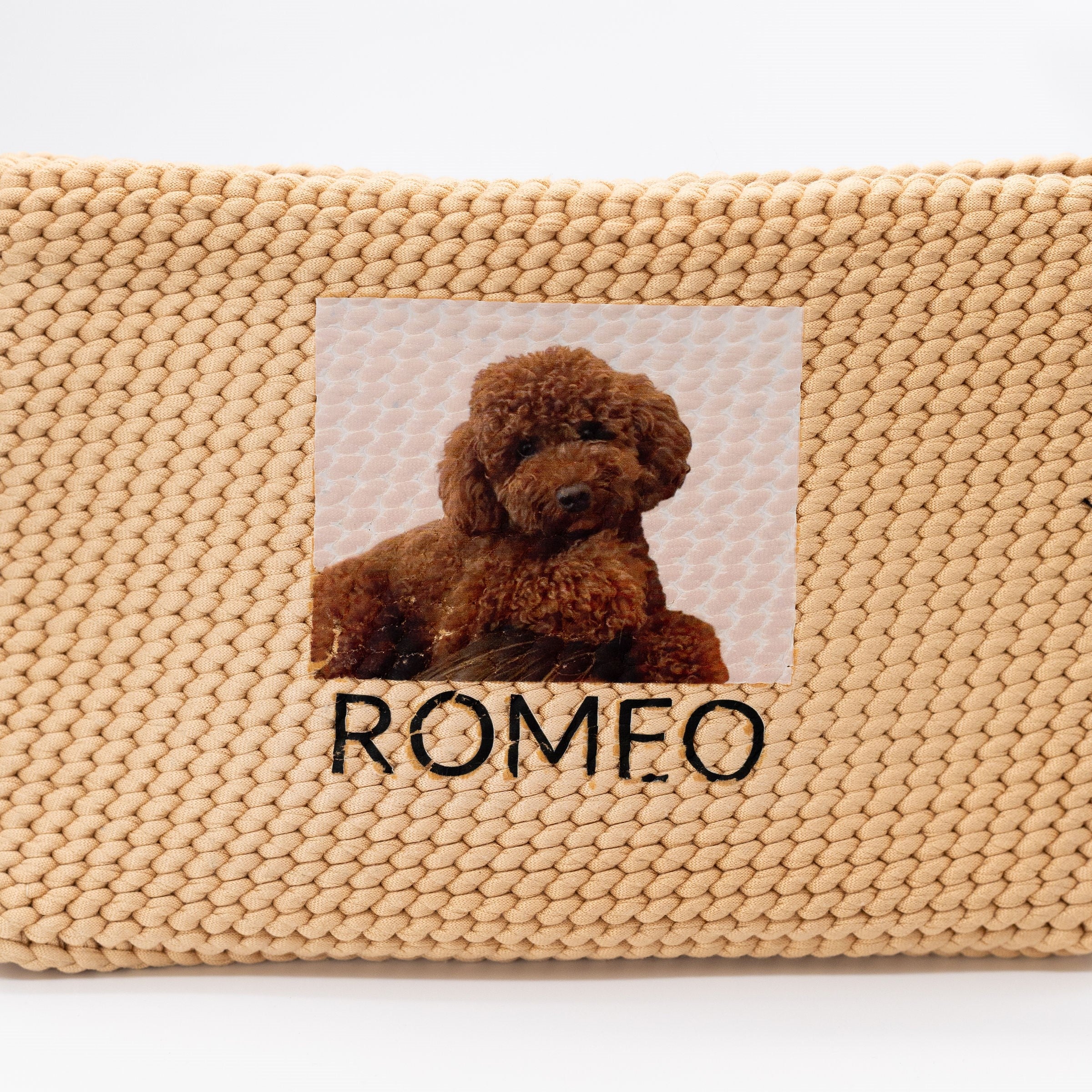 Pochette dog esempio personalizzazione foto